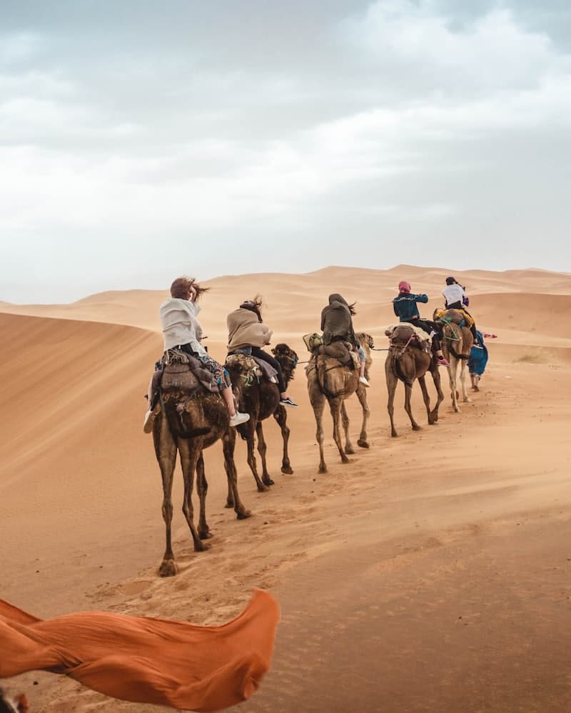 Sahara